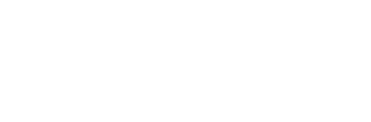 DiamondTrov Guide