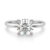 10K White Gold