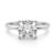 10K White Gold