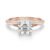 14K Rose Gold