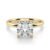 10K Yellow Gold