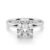 10K White Gold