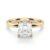 10K Yellow Gold