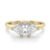 10K Yellow Gold