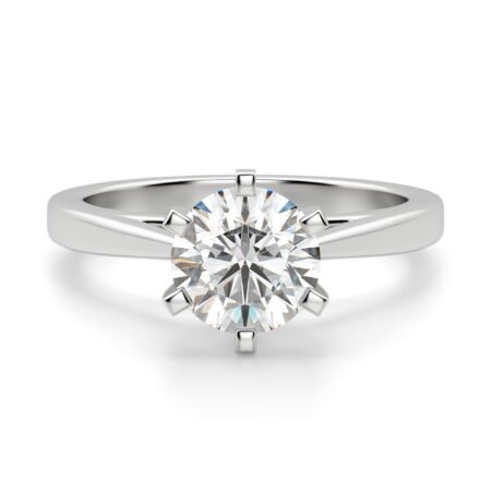 Cathedral Round Cut Engagement Ring