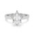 10K White Gold