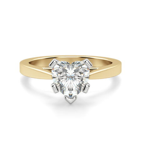 Cathedral Heart Cut Engagement Ring