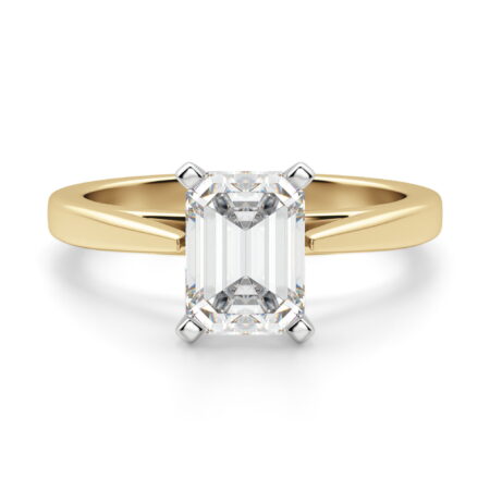 Cathedral Emerald Cut Engagement Ring