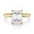 10K Yellow Gold