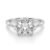 10K White Gold
