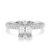 10K White Gold