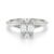 10K White Gold