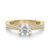 10K Yellow Gold