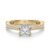 10K Yellow Gold