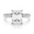 10K White Gold