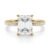 10K Yellow Gold