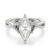 10K White Gold