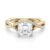 10K Yellow Gold