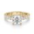 10K Yellow Gold
