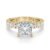 10K Yellow Gold