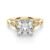 10K Yellow Gold