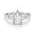 10K White Gold
