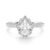 10K White Gold