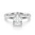 10K White Gold