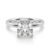 10K White Gold