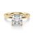 10K Yellow Gold