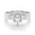 10K White Gold