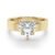 10K Yellow Gold