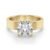 10K Yellow Gold