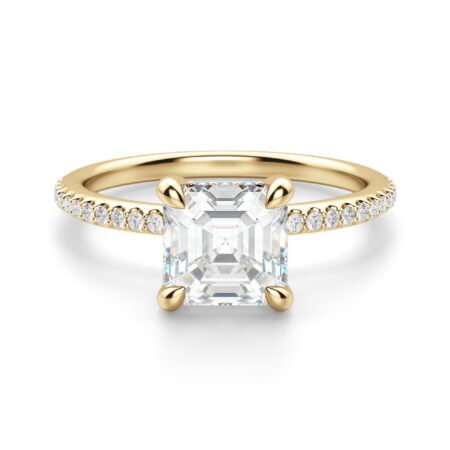 Hidden Halo Accented Asscher Cut Engagement Ring