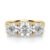 10K Yellow Gold