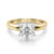 10K Yellow Gold
