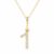10K Yellow Gold
