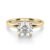 10K Yellow Gold