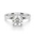 10K White Gold