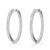 10K White Gold