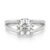 10K White Gold