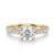 10K Yellow Gold