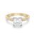 10K Yellow Gold