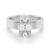 10K White Gold