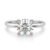 10K White Gold