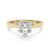 10K Yellow Gold