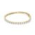 10K Yellow Gold